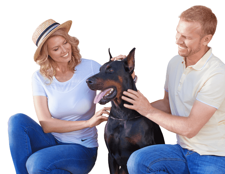 Серия Prestige — для тех, кто заботится о будущем поколений, выбирая энергоэффективные конструкции Серия Prestige — для тех, кто заботится о будущем поколений, выбирая энергоэффективные конструкции